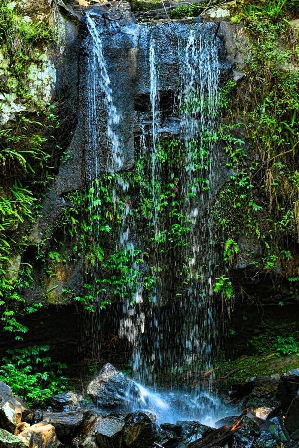 Camelot Boutique Accommodation Mount Tamborine Bagian luar foto