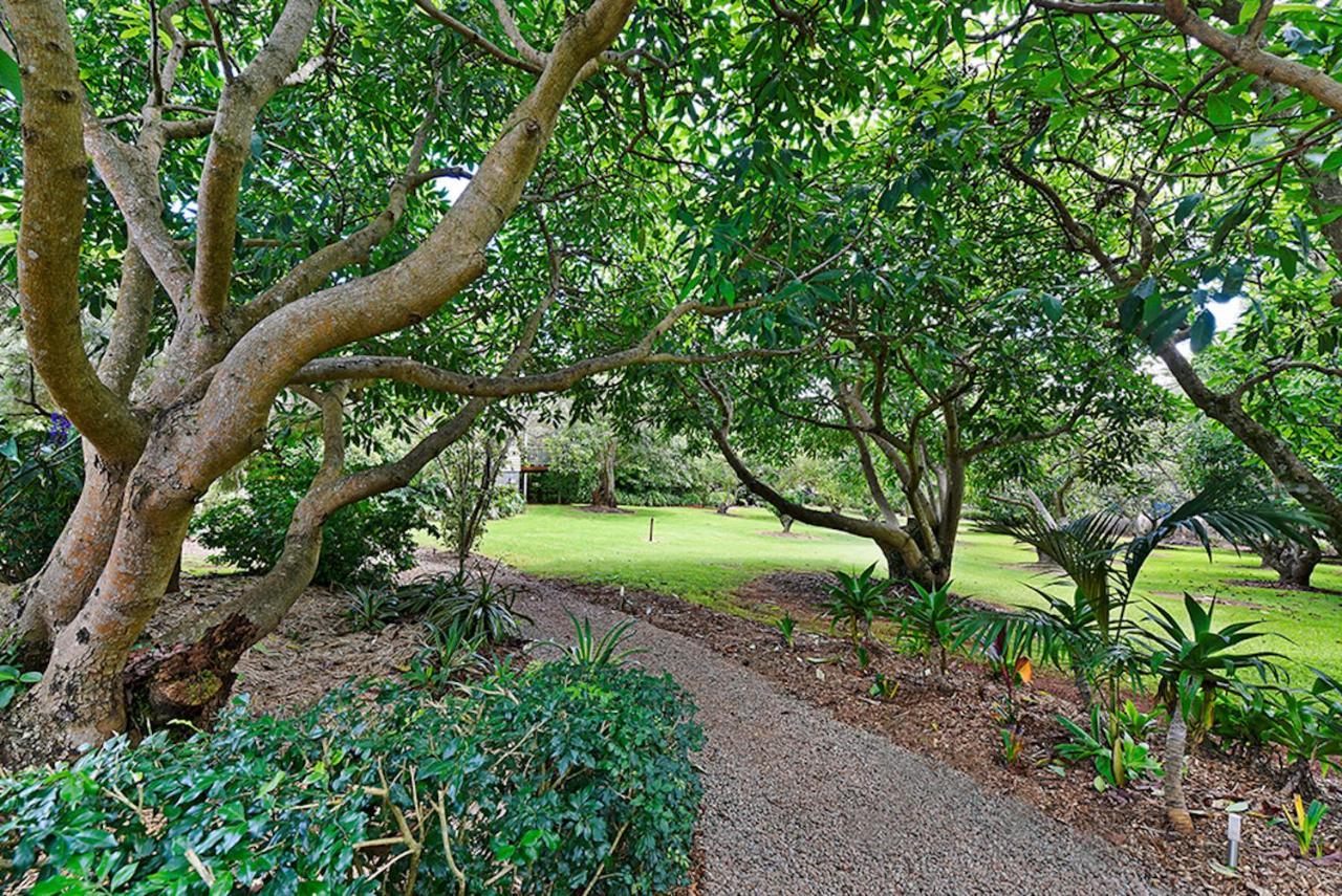 Camelot Boutique Accommodation Mount Tamborine Bagian luar foto