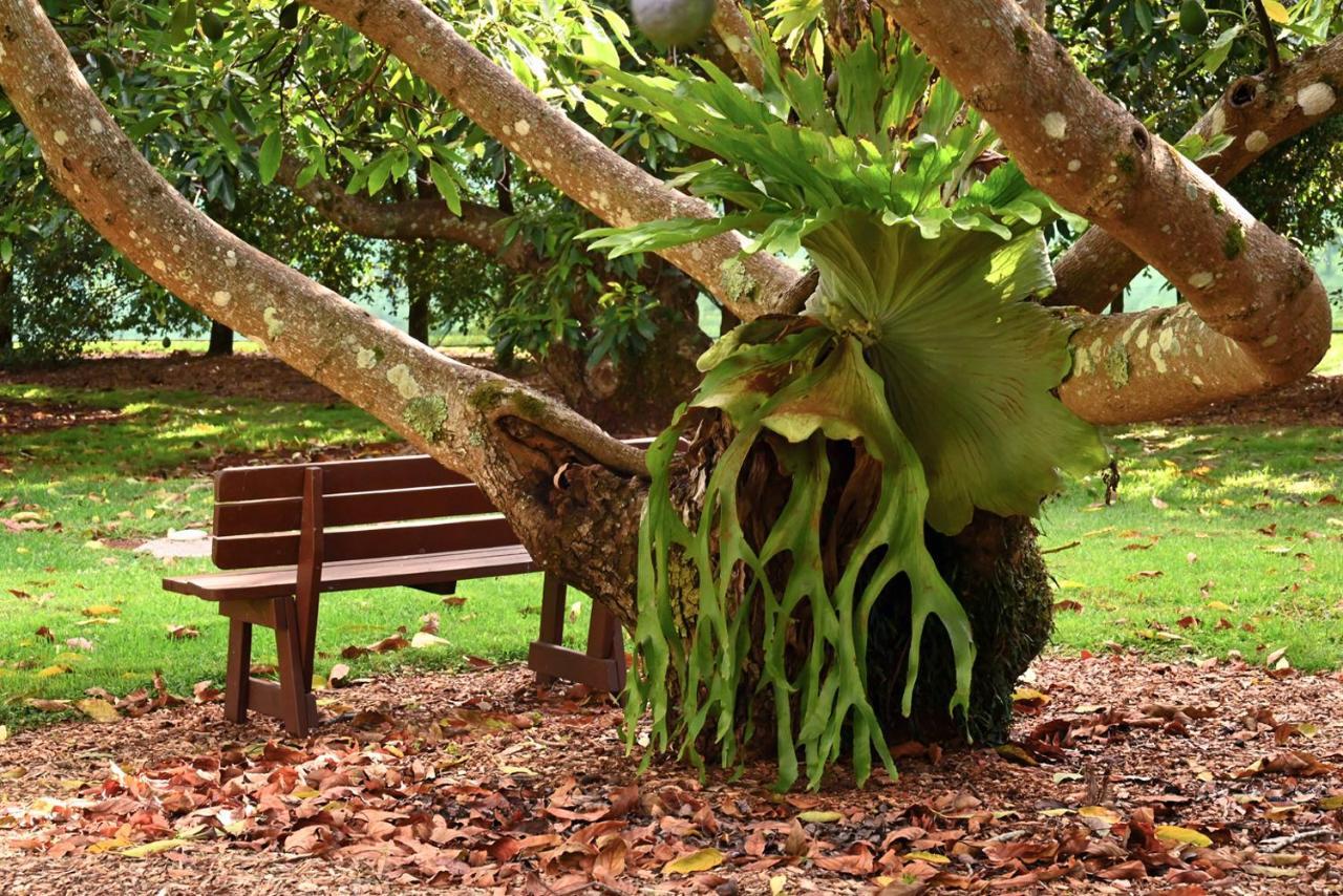 Camelot Boutique Accommodation Mount Tamborine Bagian luar foto