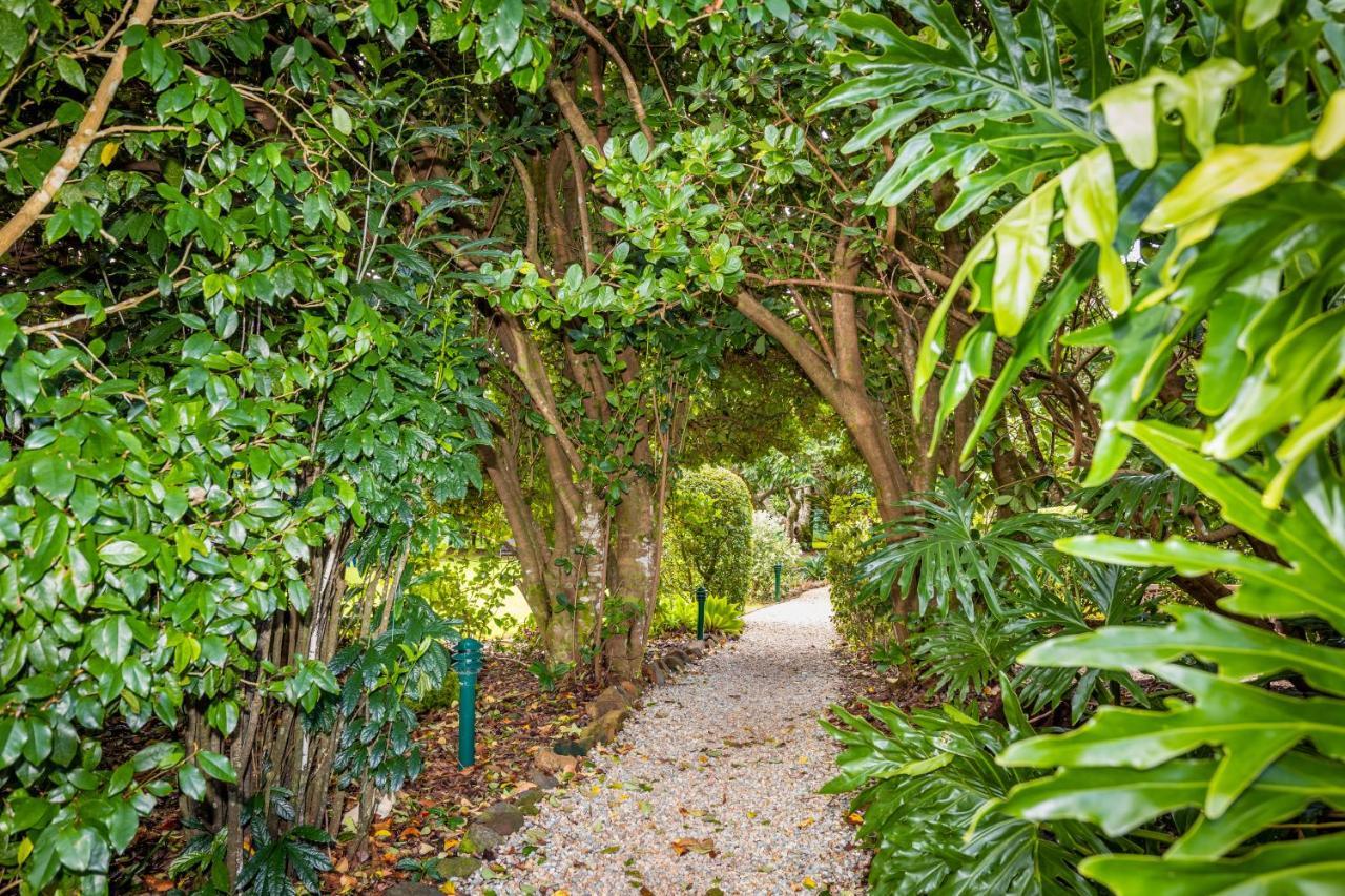 Camelot Boutique Accommodation Mount Tamborine Bagian luar foto
