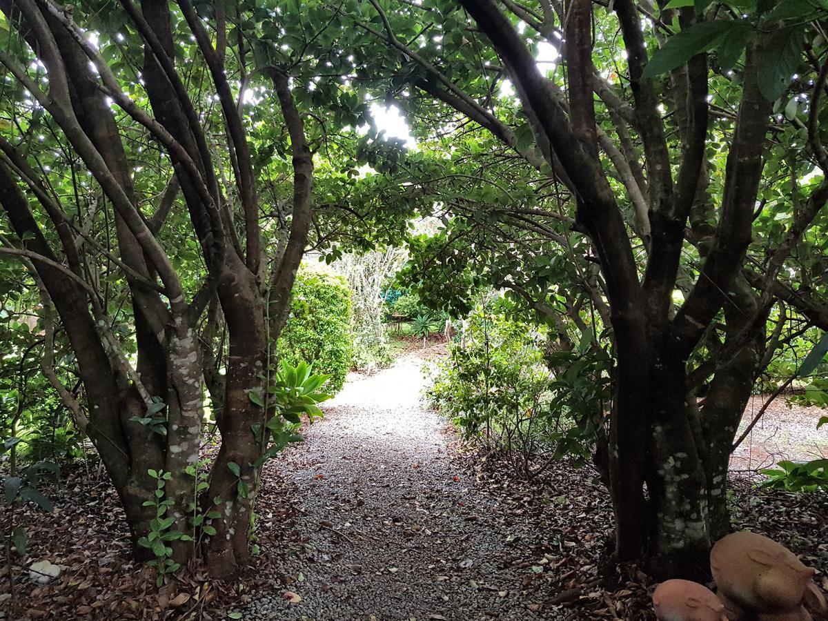 Camelot Boutique Accommodation Mount Tamborine Bagian luar foto