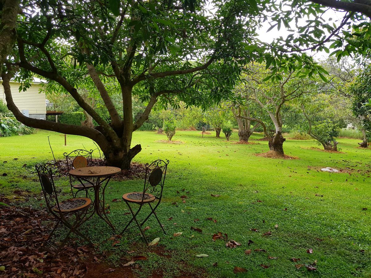 Camelot Boutique Accommodation Mount Tamborine Bagian luar foto