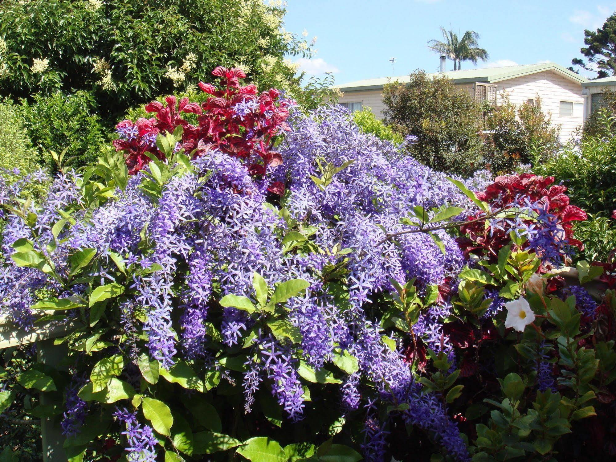 Camelot Boutique Accommodation Mount Tamborine Bagian luar foto