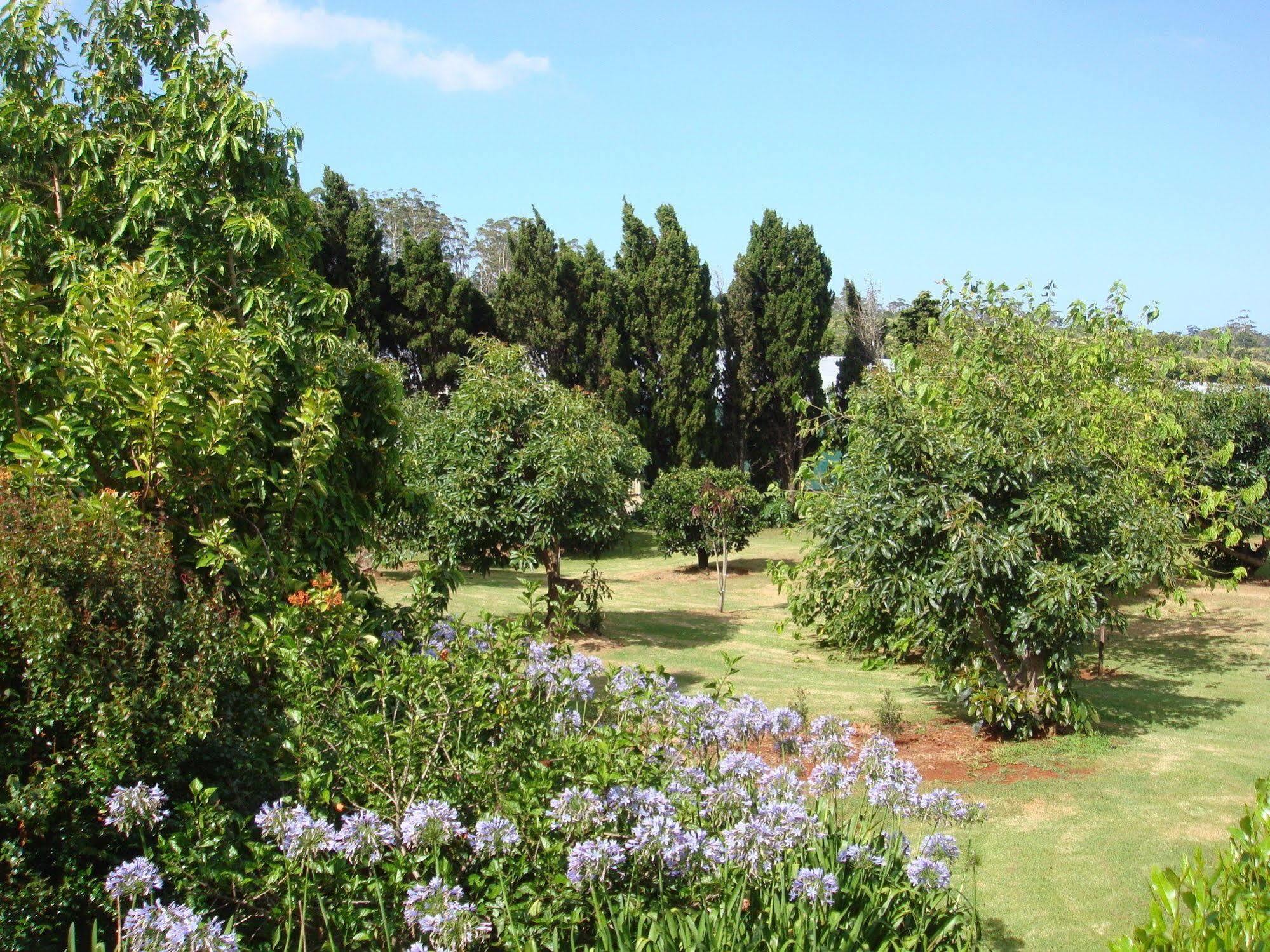 Camelot Boutique Accommodation Mount Tamborine Bagian luar foto