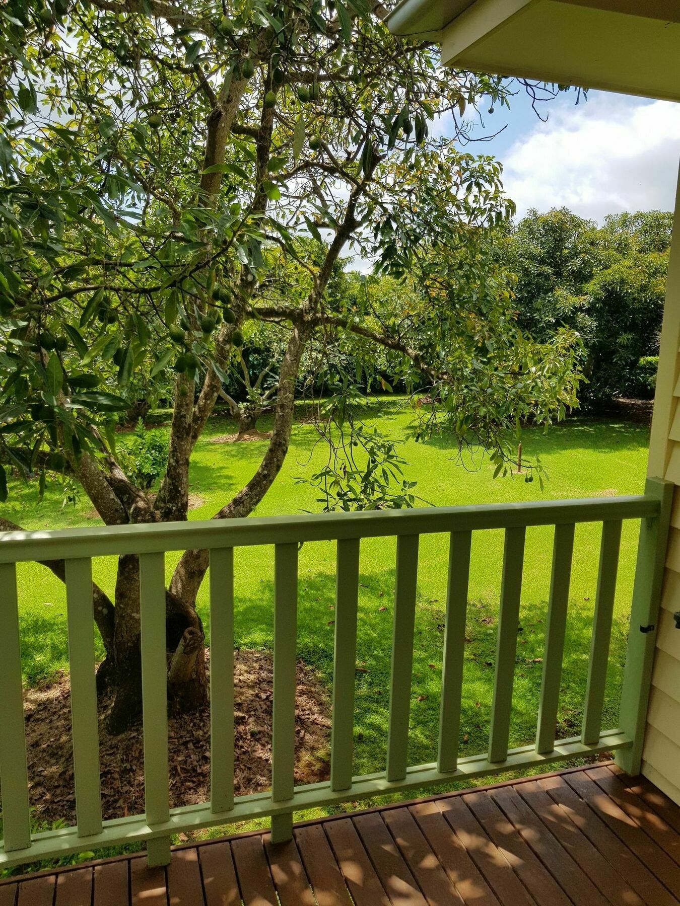 Camelot Boutique Accommodation Mount Tamborine Bagian luar foto