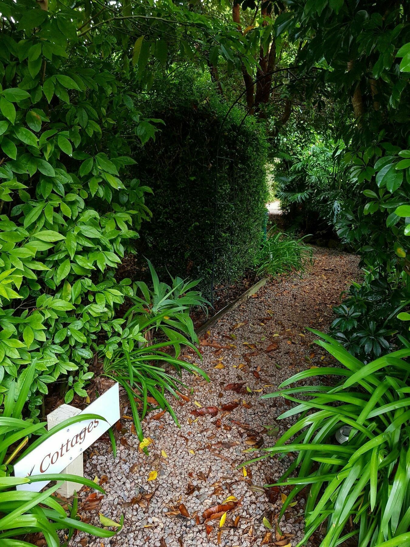 Camelot Boutique Accommodation Mount Tamborine Bagian luar foto